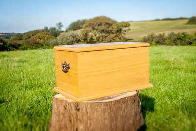 Pet ashes caskets